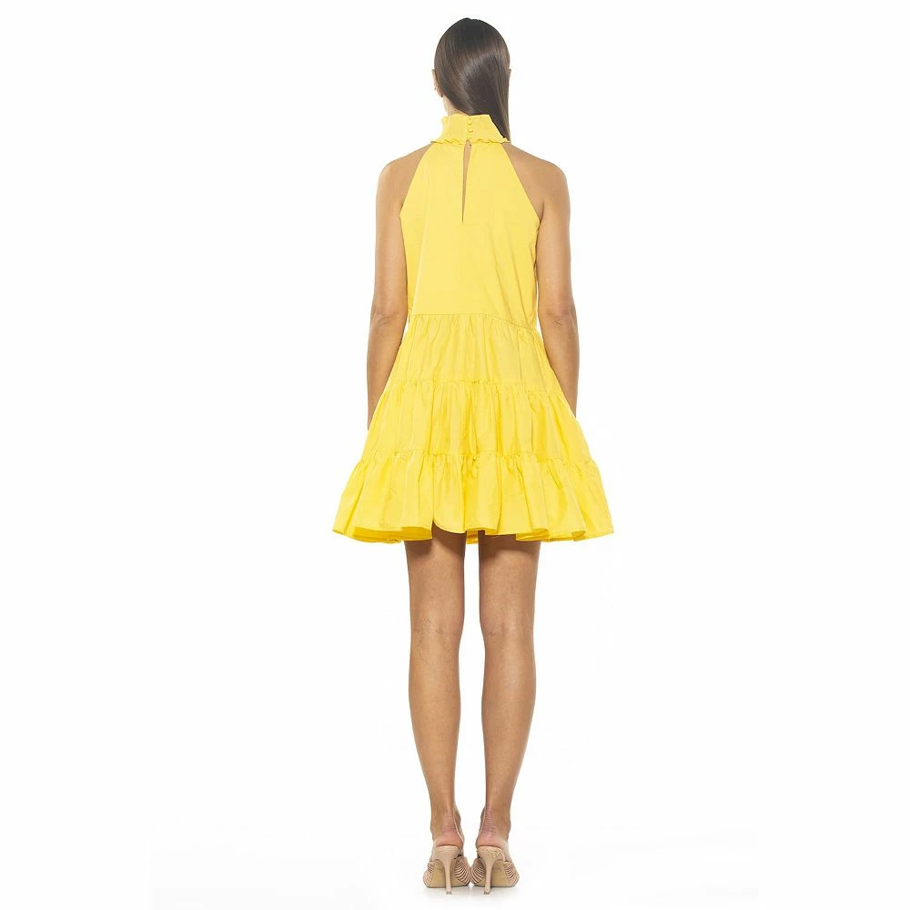 Women's ALEXIA ADMOR Molly Halter Tiered Trapze Dress - Image 3